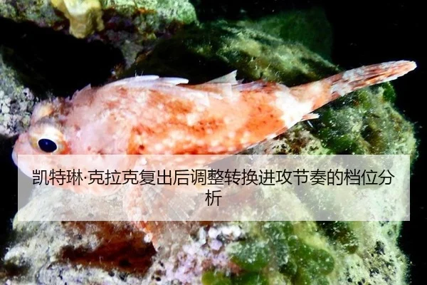 凯特琳·克拉克复出后调整转换进攻节奏的档位分析