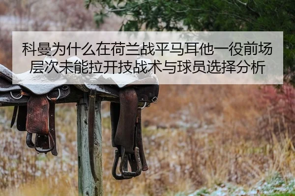 ke-man-wei-shen-me-zai-he-lan-zhan-ping-ma-er-ta-yi-yi-qian-chang-ceng-ci-wei-neng-la-kai-ji-zhan-shu-yu-qiu-yuan-xuan-2-173.jpg
